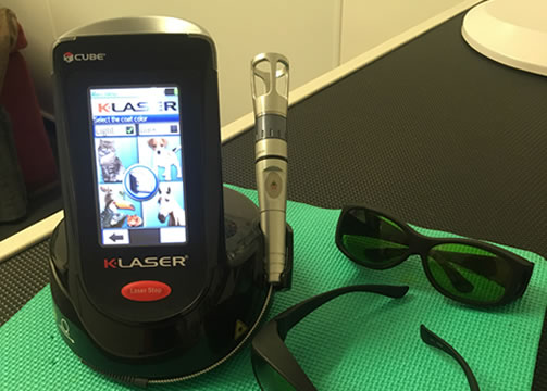 Laser Therapy Equipment Laser Therapy Equipment