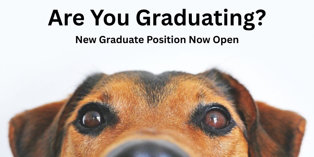 pet care center . Pet care center poster, Pet care social media post and flyer